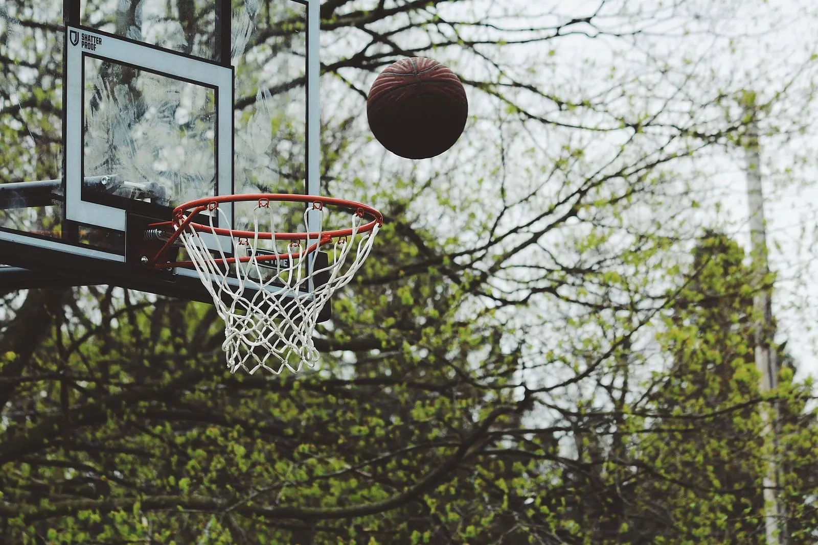 Un balón de baloncesto junto a una canasta con red, entre árboles