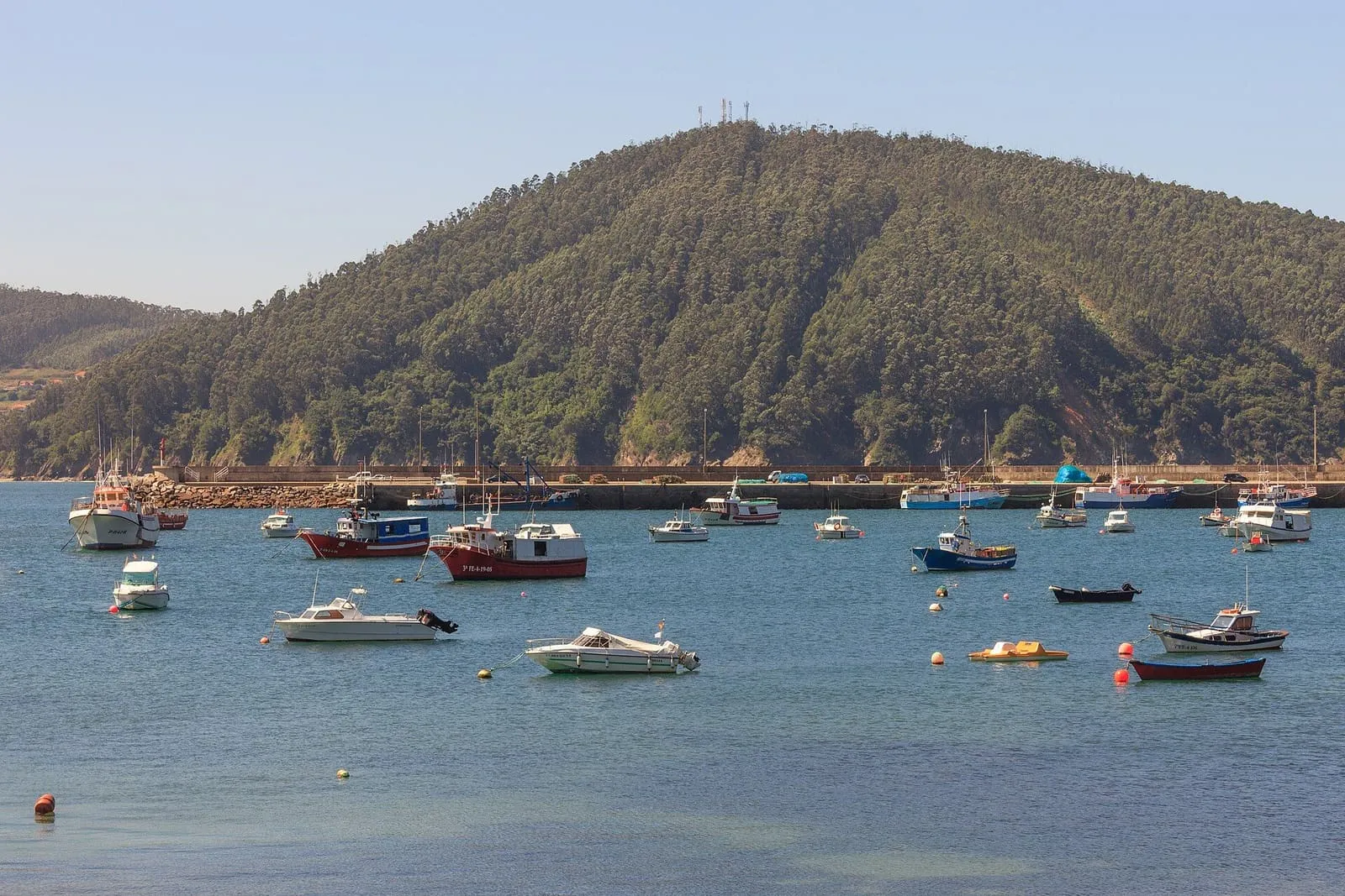 Barcas de pesca fondeadas en el puerto de Cedeira, con un monte arbolado detrás