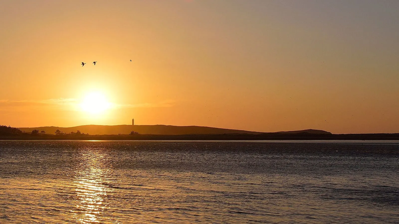 Atardecer sobre la laguna de la Frouxeira, con aves en el cielo