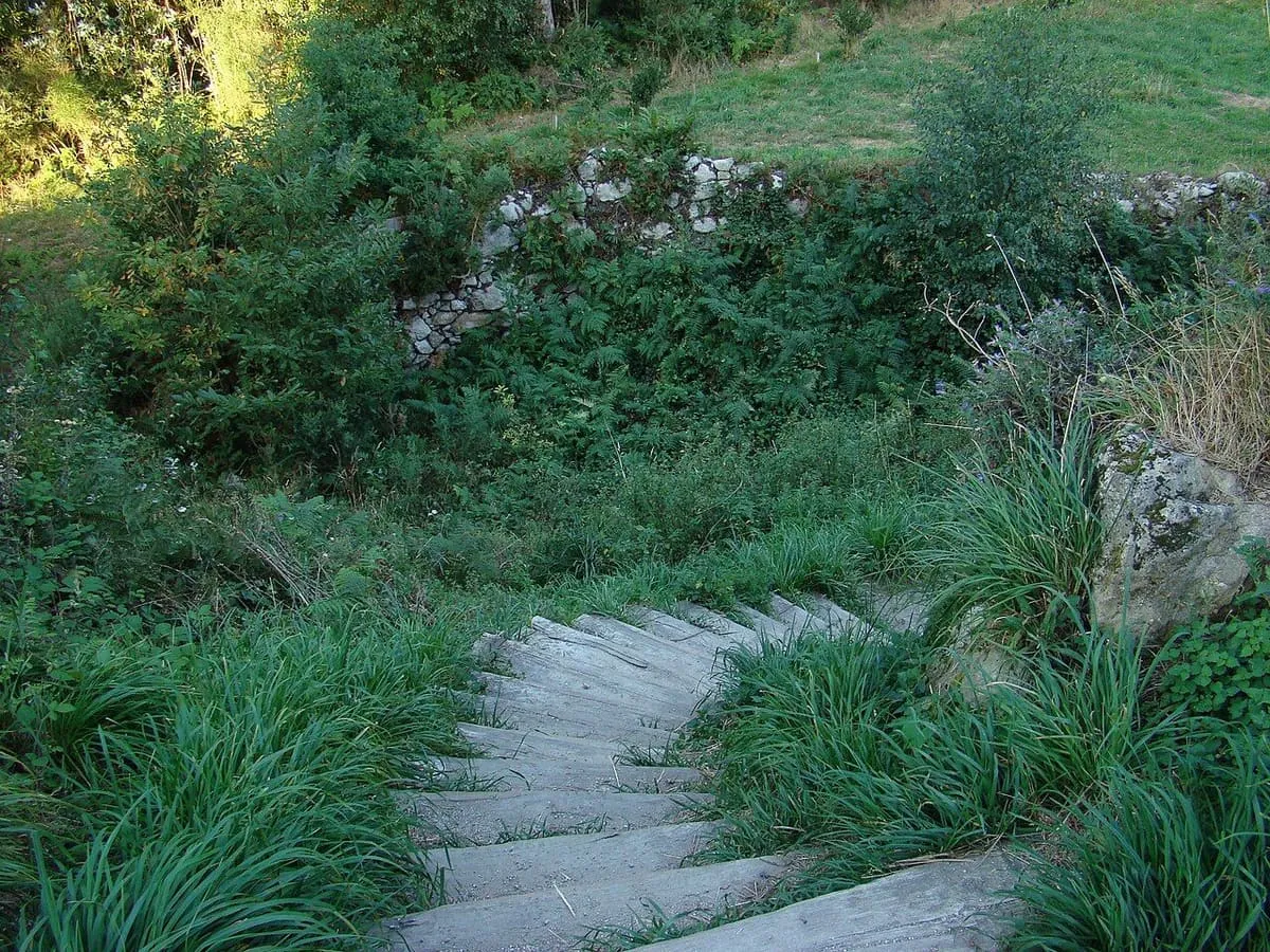 Escalera de piedra cubierta de hierba que sube hacia el castillo